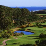 44_1243266122_zimbali-5
