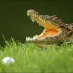 images2